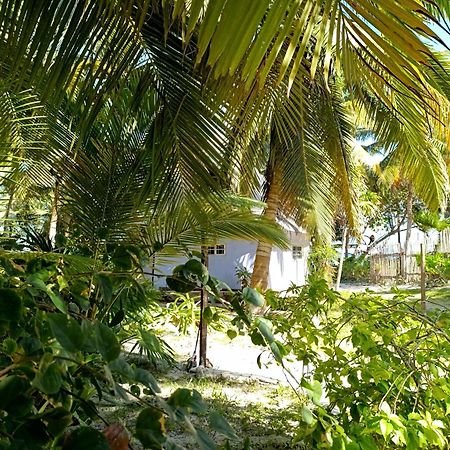 Chez Gigi - Eco Lodge Mahahual Eksteriør billede