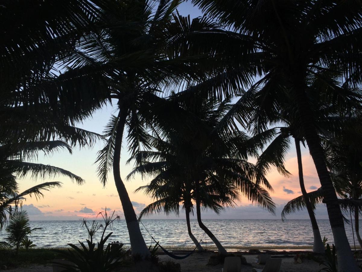 Chez Gigi - Eco Lodge Mahahual Eksteriør billede