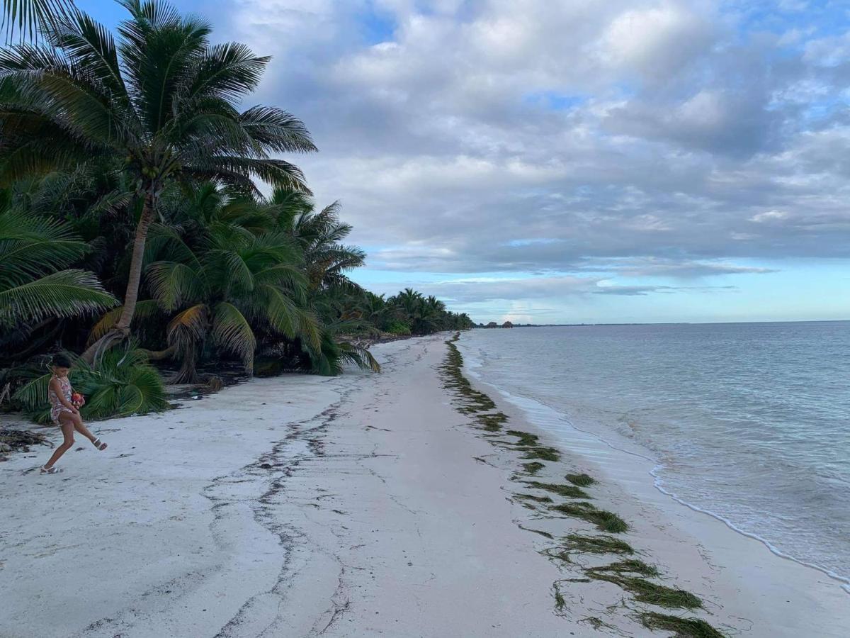 Chez Gigi - Eco Lodge Mahahual Eksteriør billede