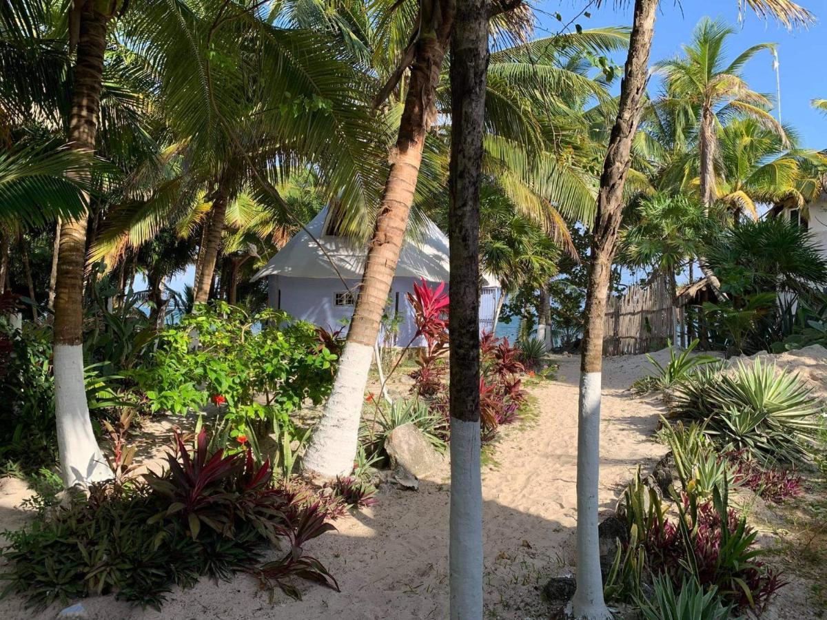 Chez Gigi - Eco Lodge Mahahual Eksteriør billede