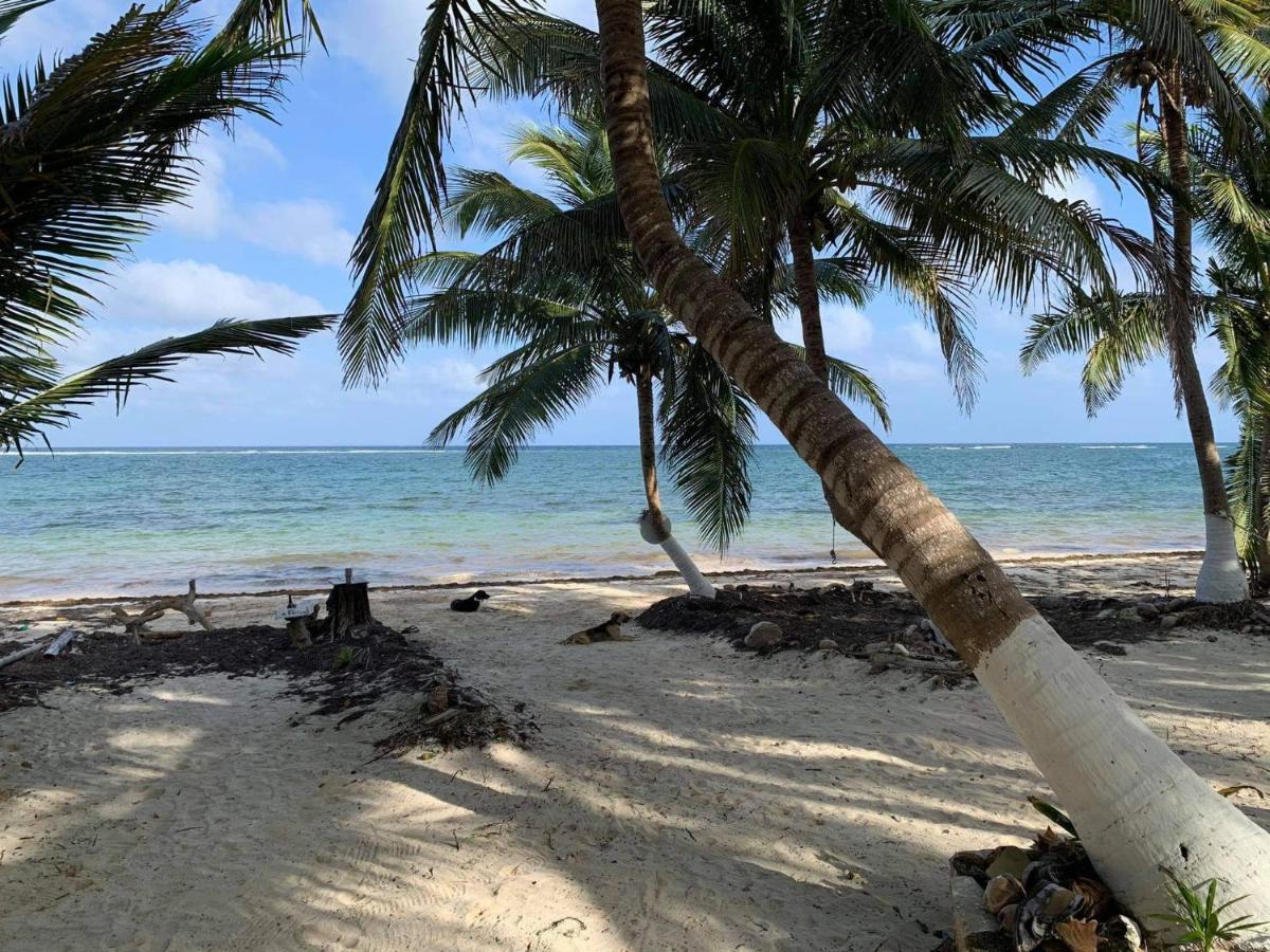 Chez Gigi - Eco Lodge Mahahual Eksteriør billede