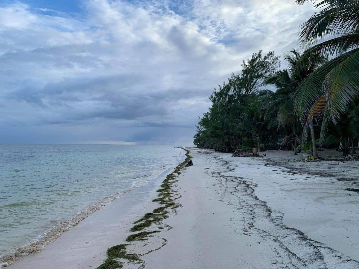 Chez Gigi - Eco Lodge Mahahual Eksteriør billede