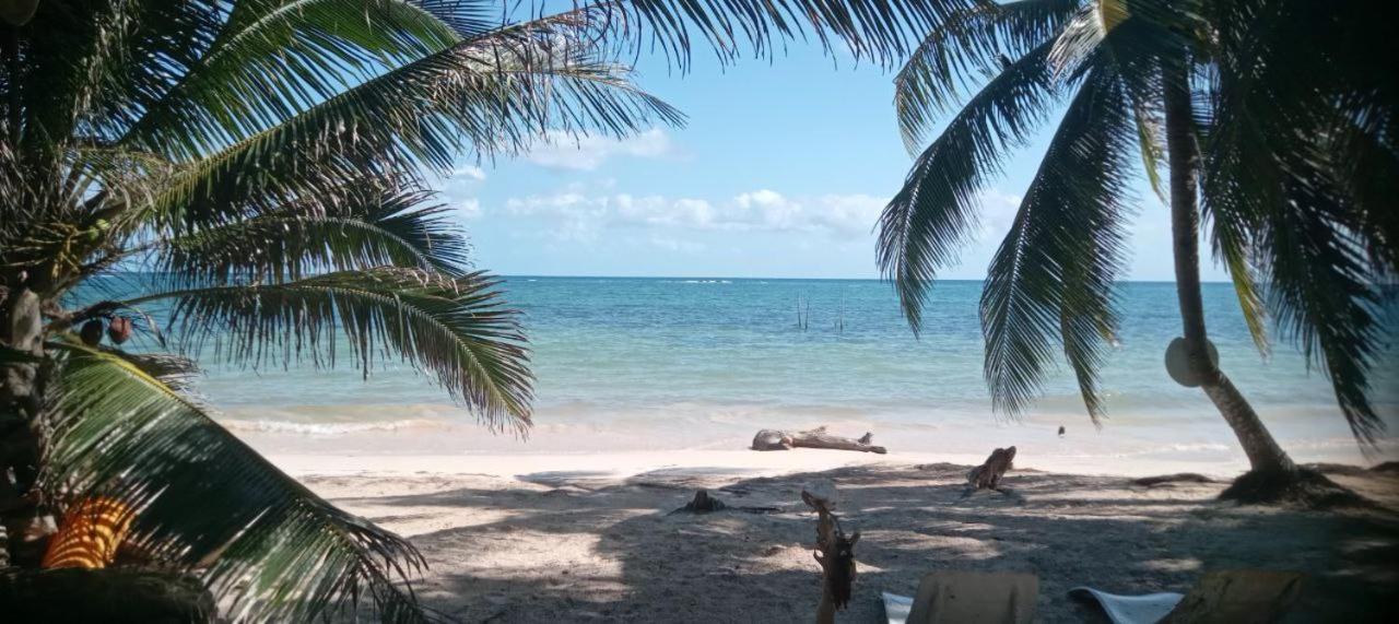 Chez Gigi - Eco Lodge Mahahual Eksteriør billede