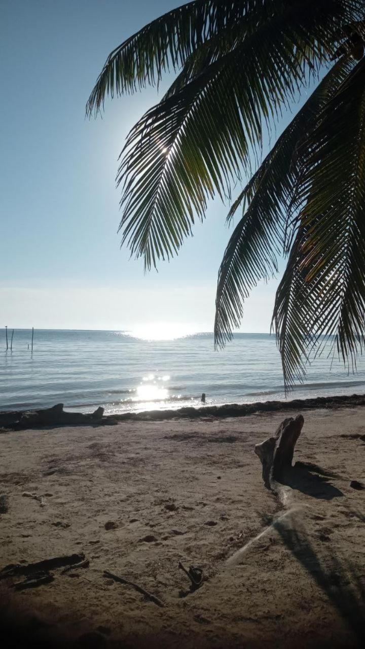 Chez Gigi - Eco Lodge Mahahual Eksteriør billede