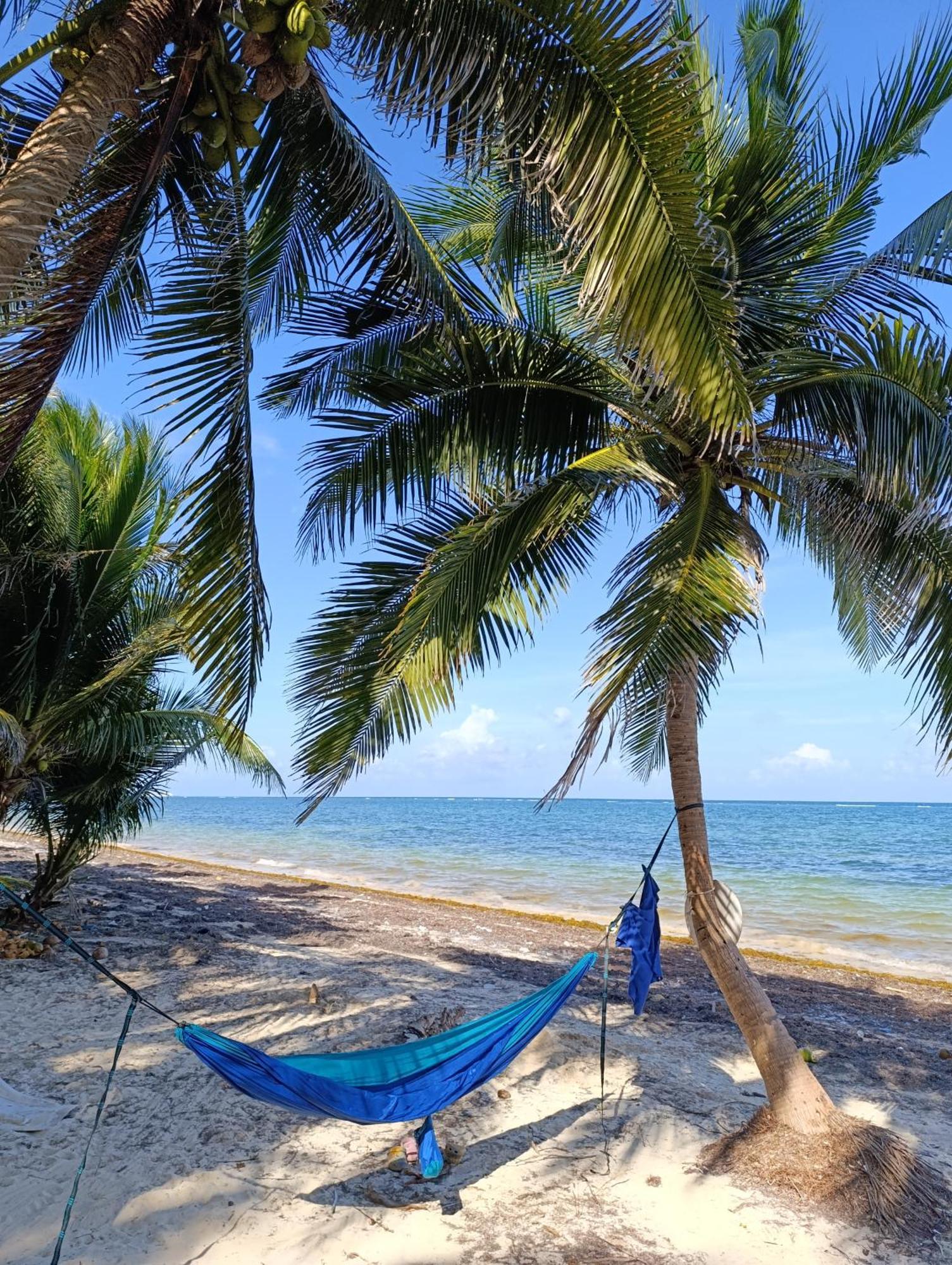 Chez Gigi - Eco Lodge Mahahual Eksteriør billede