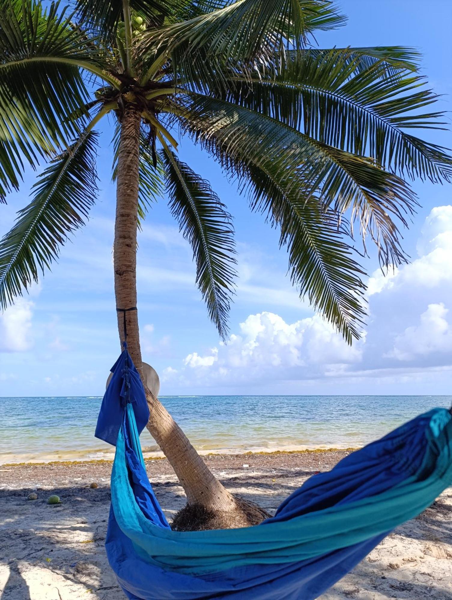 Chez Gigi - Eco Lodge Mahahual Eksteriør billede