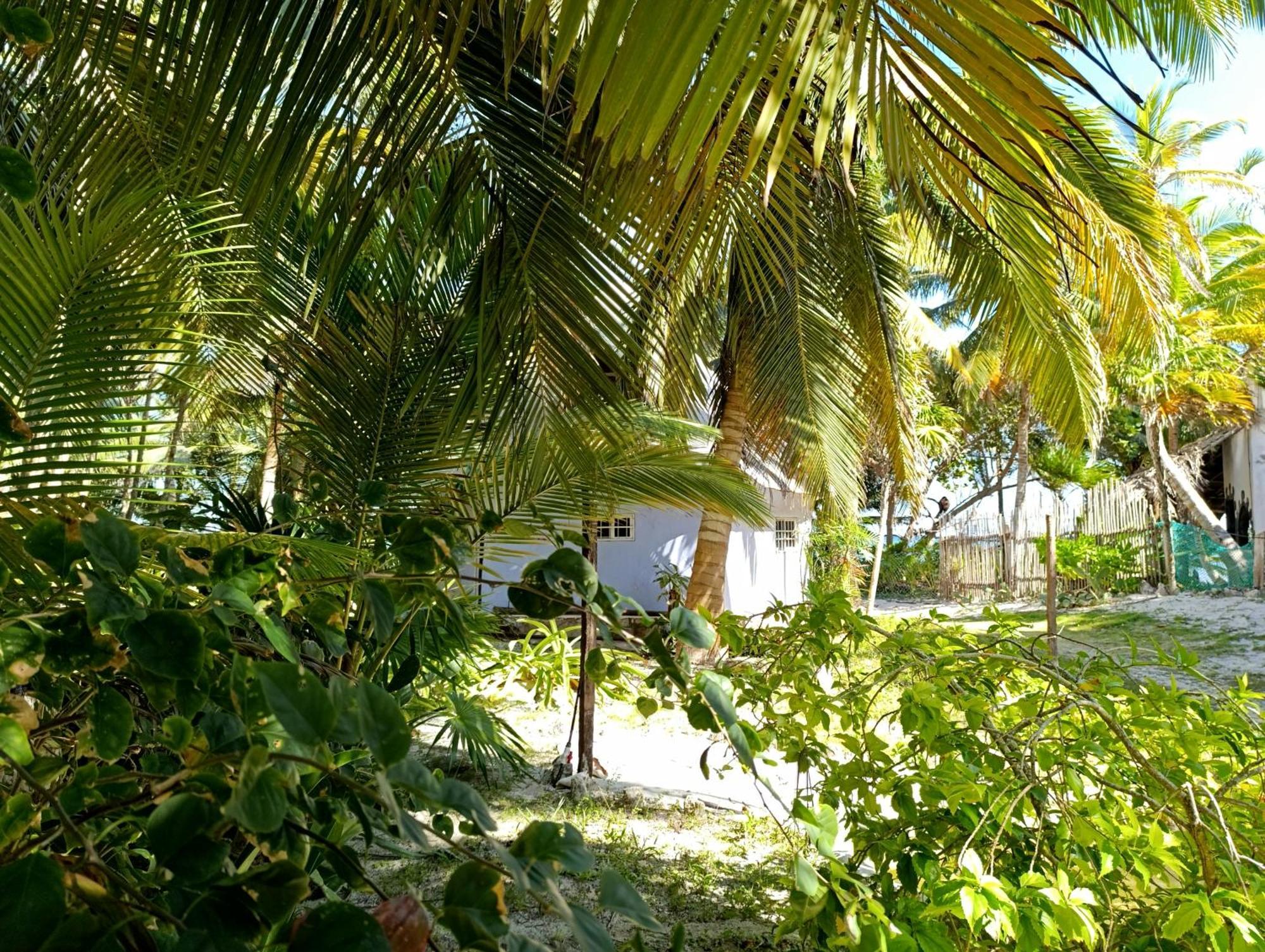 Chez Gigi - Eco Lodge Mahahual Eksteriør billede