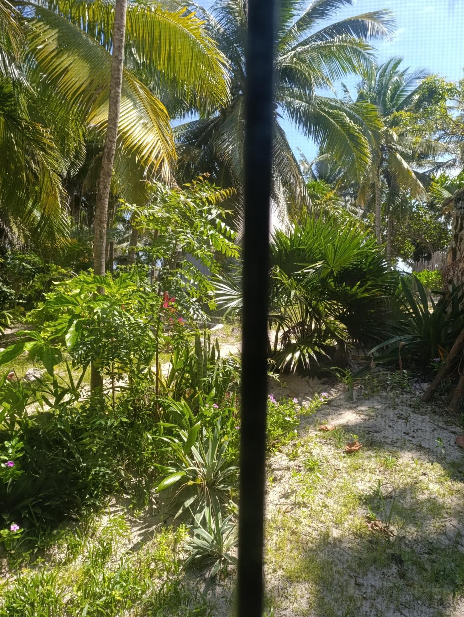 Chez Gigi - Eco Lodge Mahahual Eksteriør billede