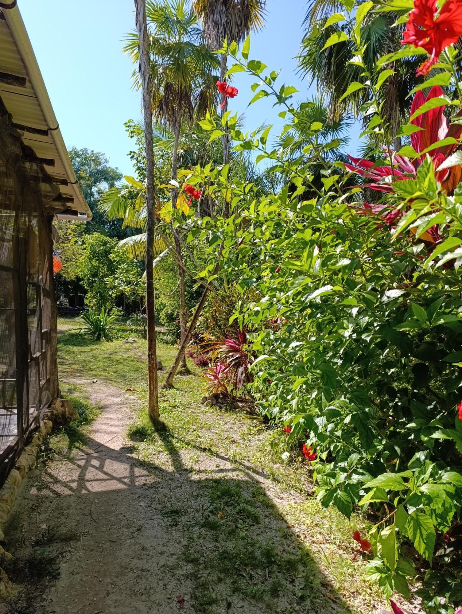 Chez Gigi - Eco Lodge Mahahual Eksteriør billede