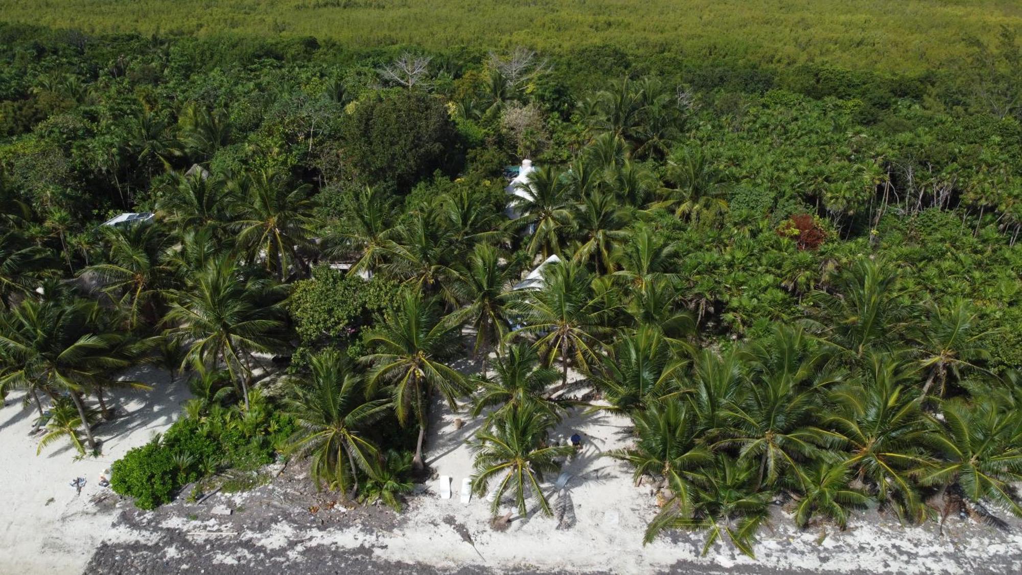 Chez Gigi - Eco Lodge Mahahual Eksteriør billede